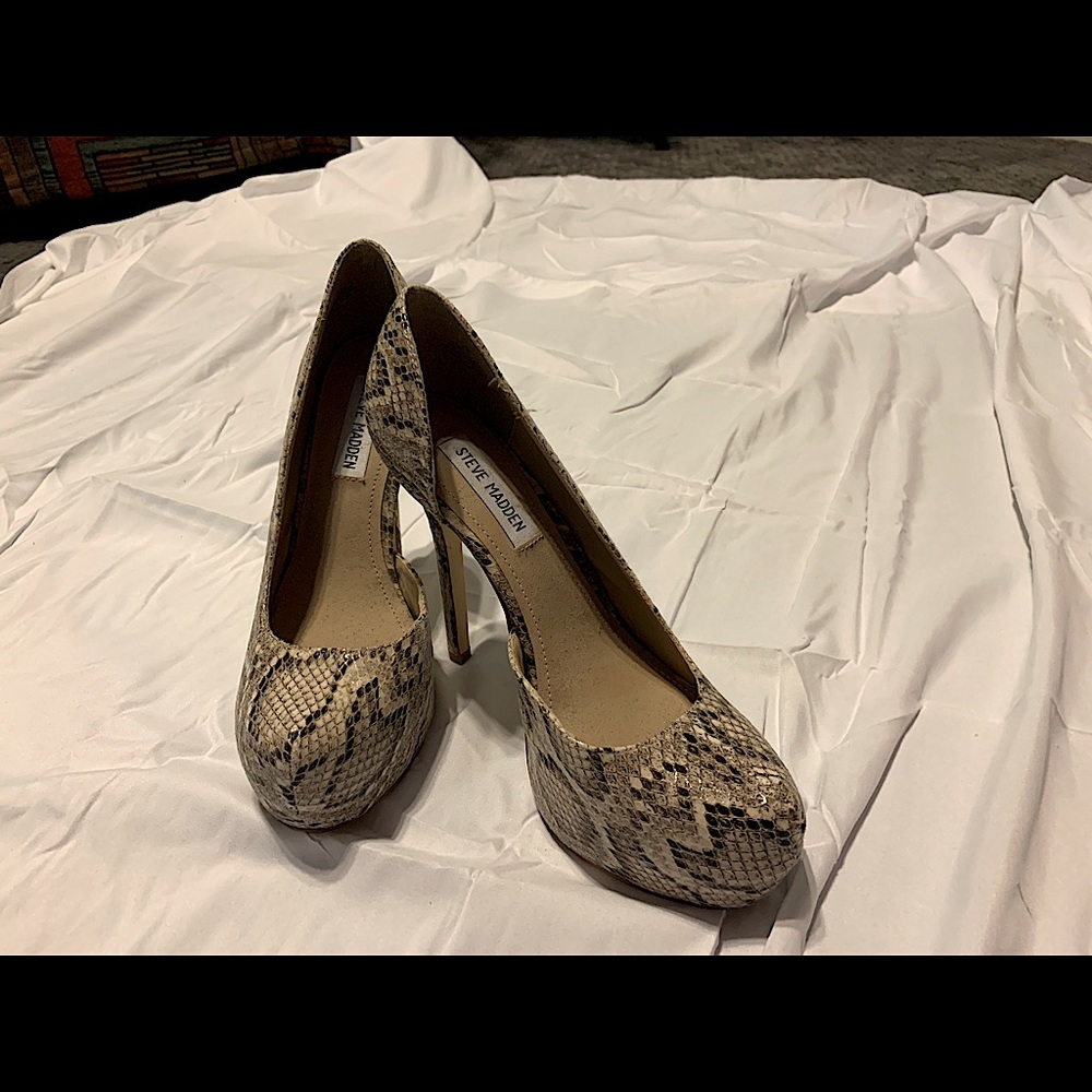 Steve Madden Snake Skin